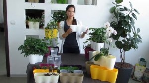 Двойные и тройные горшки для растений - Горшки базилика - Горшки для орхидей