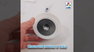 Т21878 Модель глаза
