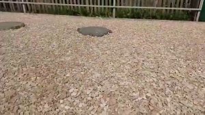 Площадка перед домом!!! - 4 июля 2018