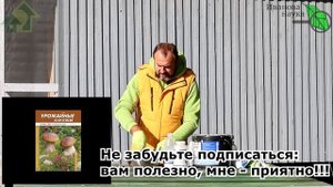 ХИТРЫЙ РЕЦЕПТ ТРОЙНОЙ ЗАЩИТНОЙ ПОБЕЛКИ ДЛЯ ДЕРЕВЬЕВ. Держится ВЕСЬ СЕЗОН! Зубами не оторвать!