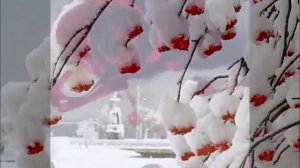 Дима Билан | Капелька крови