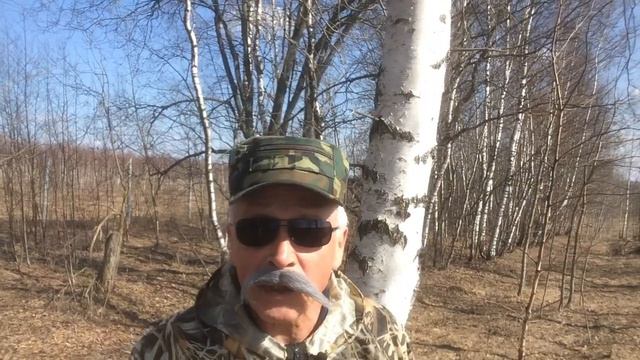 Родина, ты вроде не уродина.
