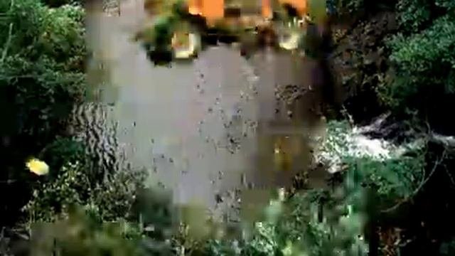 Сокровище Амазонки