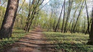 VLOG Велопрогулка по Голосеевскому лесу/ Голосеево Киев/ май 2021