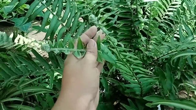 PAMIGAY SALE NA HINDI MO PALALAGPASIN / EXCITING ITO!!! смотреть онлайн