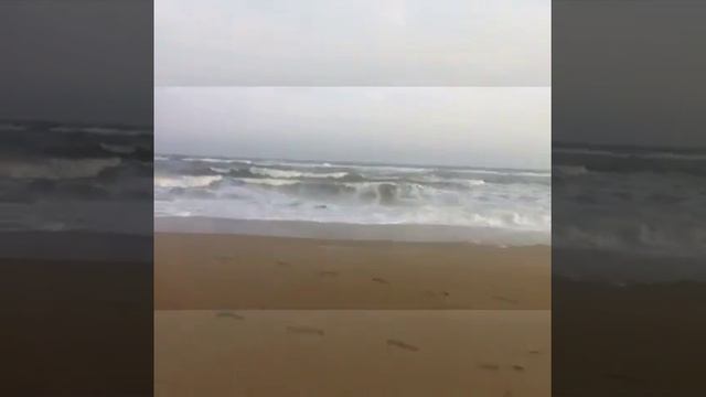 ЗАТОКА: море волны писок смотреть онлайн