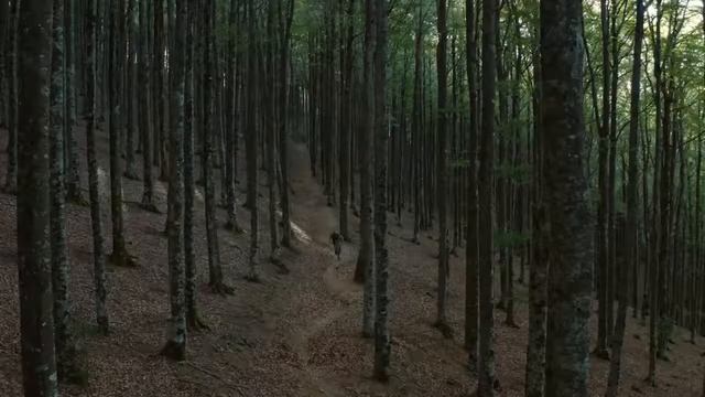 NOVA ORBEA OIZ 2021 смотреть онлайн