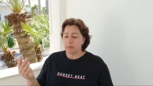 КАК ОТДОХНУТЬ НА МОРЕ В ИТАЛИИ С ДЕТЬМИ БЮДЖЕТНО