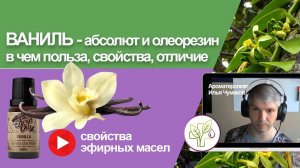 Ваниль эфирномасличные экстракты: абсолют, олеорезин - свойства, польза и действие на организм