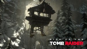 Rise of the Tomb Raider ▷ Шальная Серафима #8