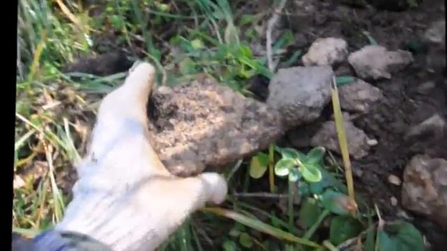 ПОИСК ЖИЛЫ смотреть онлайн