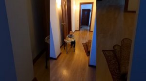 как научить ребёнка ходить самостоятельно