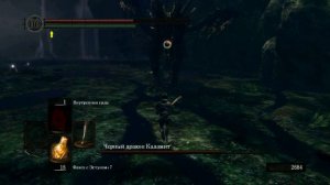 Как отрубить хвост Каламиту (Dark Souls, НГ+)