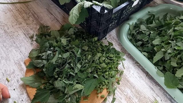 Порошок из лебеды, замена спирулины и хлореллы