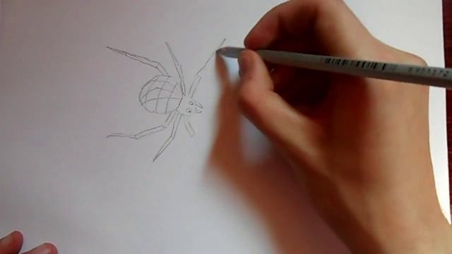 Видео: как нарисовать винкс? смотреть онлайн