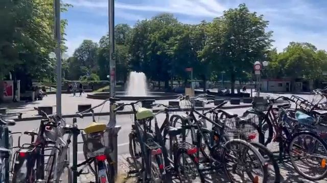 СБОР ЯГОД В ГЕРМАНИИ.МЫ НА ДЕТСКОЙ ПЛОЩАДКЕ. ПОЛИВАЕМ ОГОРОД смотреть онлайн