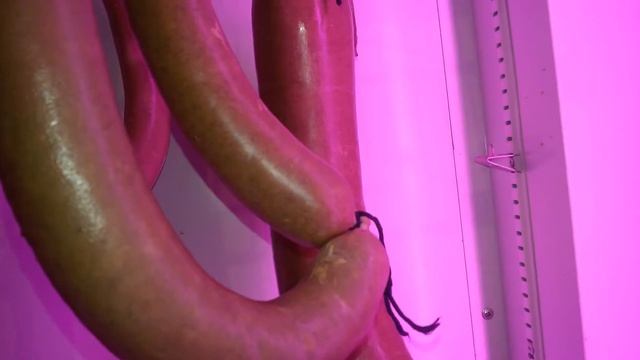 Сыровяленная колбаса. Продолжение эксперимента. смотреть онлайн