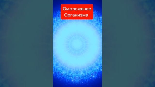 #омоложение организма смотреть 1минуту энергообмен ? #mantra #мантра #om #люблюблагодарю #благодарю