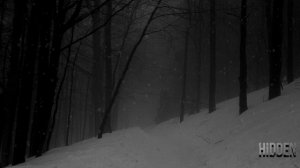 НАВИЙ ДЕНЬ. МОРАН ДЖУРИЧ. УЖАСЫ. МИСТИКА