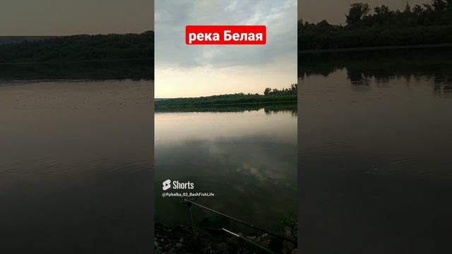 Утро на реке Белая. #рыбалка #река #фидер #красота.mp4