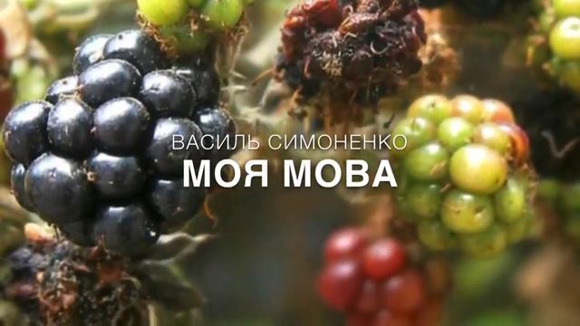 Василь Симоненко "Моя мова"