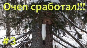 ОХОТА НА СОБОЛЯ. Серия № 3. Проверка путика