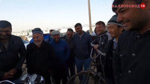 MOTOSIKL BAYKERSKIY DAR PAYSHANBE BOZOR#молбозор#kalhozobod