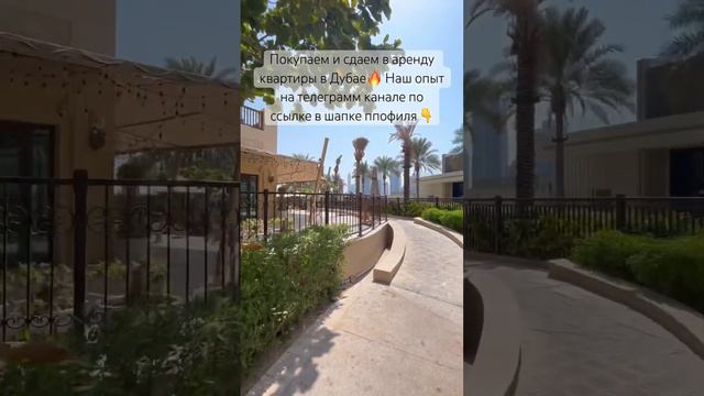 Доходные квартиры в Дубае #дубай #дубайинвестиции #дубаймарина #palmjumeriah #пальма смотреть онлайн