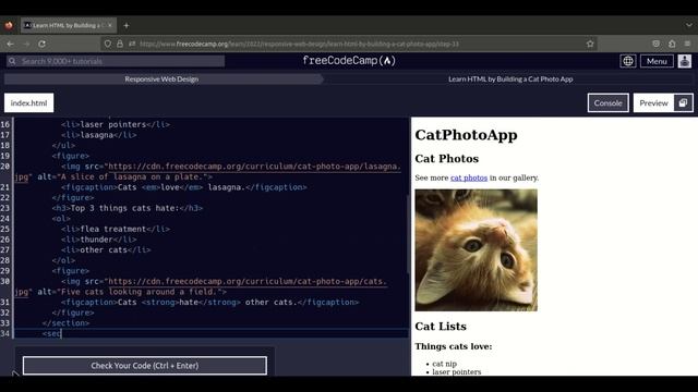 Mastering Website Creation with freeCodeCamp: Part 1