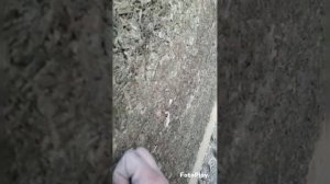 Строительство бани из АРБОЛИТА своими руками!