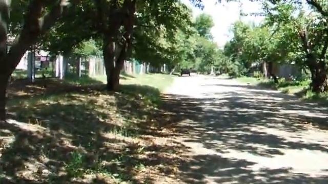 Сезон абрикос - на Украине живут очень богатые люди...