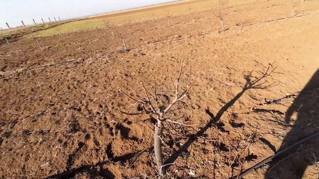 15 марта 2021 г. смотреть онлайн