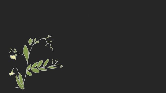 3.1 Грегор Мендель и его эксперименты. Естествознание - 10 - 11 класс смотреть онлайн