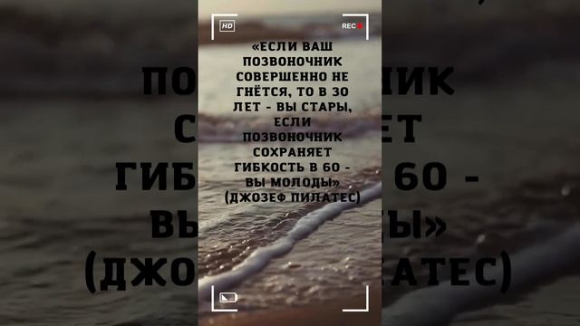 Позвоночник