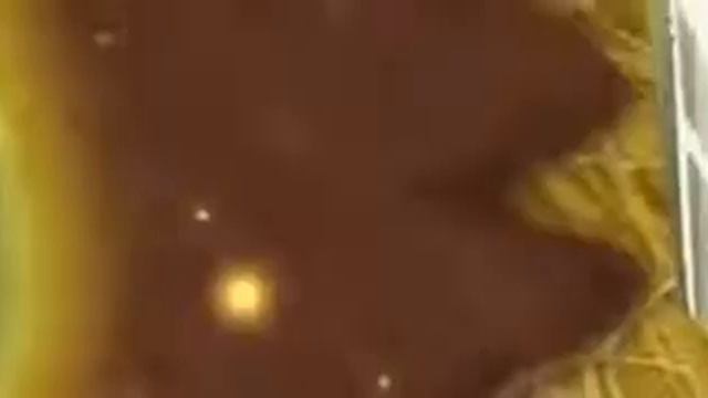 День ночь руки прочь смотреть онлайн