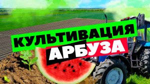 Культивация ???