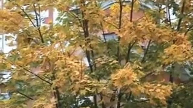 КЛИП-До свидания,Лето смотреть онлайн