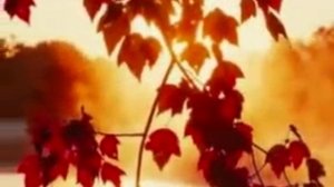 Люди жгут на кострах уходящее лето...