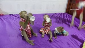 Obedient Dodo Mori Donal And Moly Sitting Wait Mom Mixed Milk