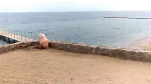 Как найти пляж Пальм бич (Palm beach) в Шарме