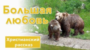 💛 Большая любовь - ИНТЕРЕСНЫЙ ХРИСТИАНСКИЙ РАССКАЗ | Христианские рассказы