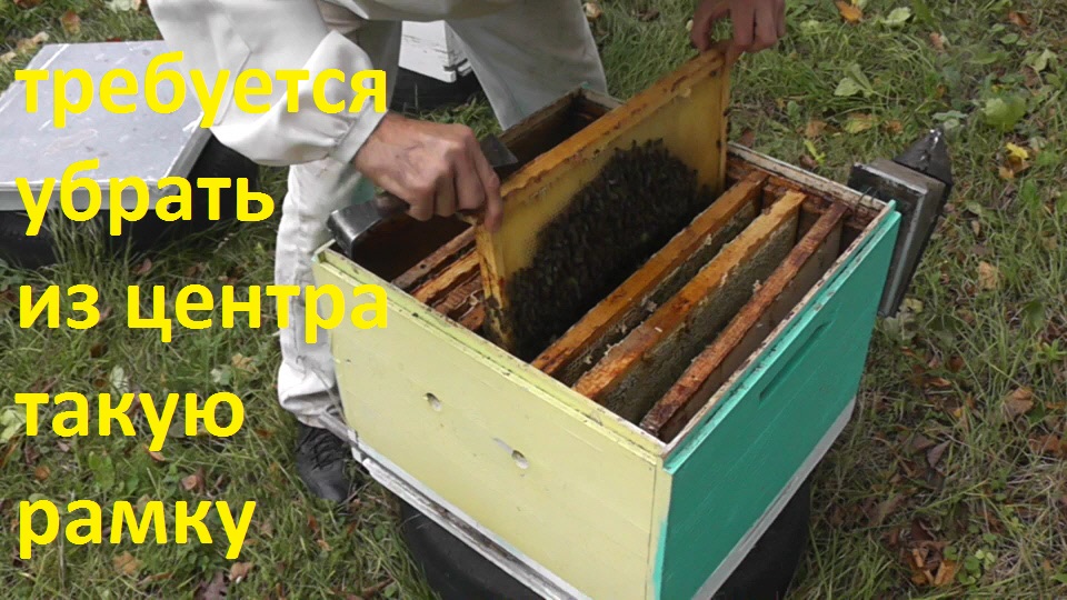 Если надо, то можно смотреть онлайн