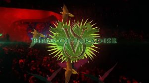 Video Highlights from the 2013 Victoria's Secret Fashion Show