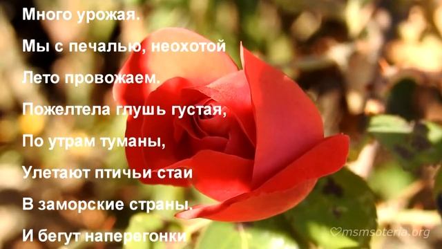 Стихи на день Жатвы. Золотая Осень. Христианские стихи смотреть онлайн