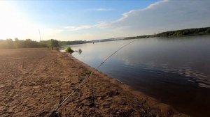 Когда заняли весь берег и ловишь на отшибе. Рыбалка на Иртыше.
