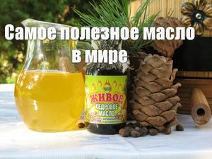 Кедровое масло Живое