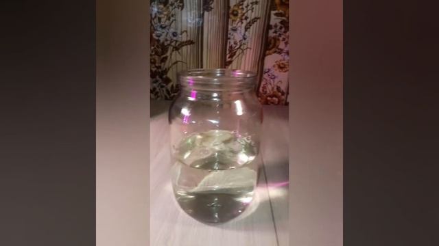 Обработка томатов фитоспорином. смотреть онлайн