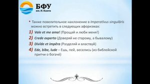 Повелительное наклонение глаголов в латинском языке