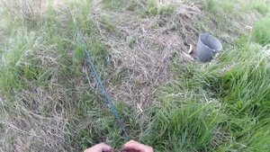 ЛЕТНЯЯ РЫБАЛКА 2020 КАРАСЬ! ИЖ планета 5! ЧАСТЬ 1