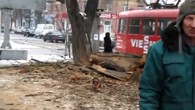 Зеленстрой пытается работать